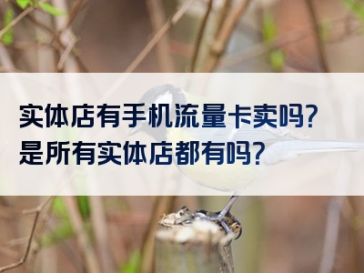 实体店有手机流量卡卖吗？是所有实体店都有吗？