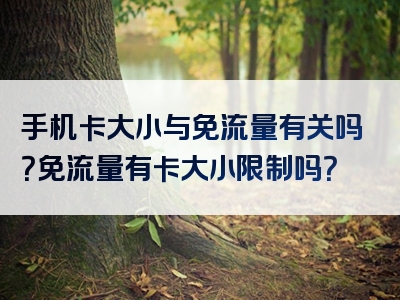 手机卡大小与免流量有关吗？免流量有卡大小限制吗？