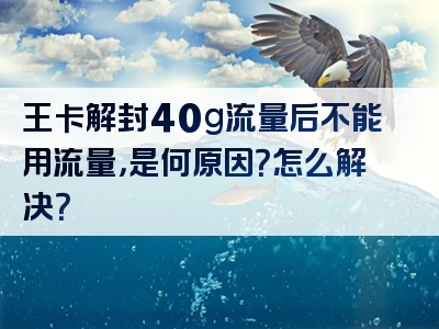 王卡解封40g流量后不能用流量，是何原因？怎么解决？