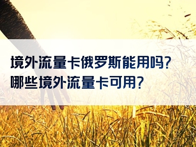 境外流量卡俄罗斯能用吗？哪些境外流量卡可用？