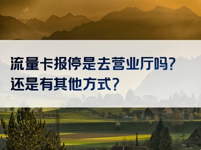 流量卡报停是去营业厅吗？还是有其他方式？