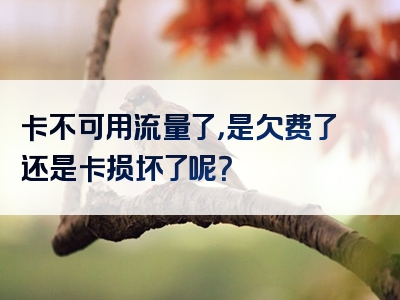 卡不可用流量了，是欠费了还是卡损坏了呢？