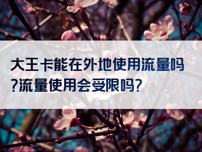 大王卡能在外地使用流量吗？流量使用会受限吗？