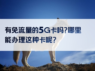 有免流量的5G卡吗？哪里能办理这种卡呢？