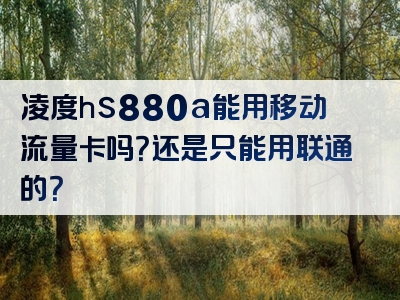 凌度hs880a能用移动流量卡吗？还是只能用联通的？
