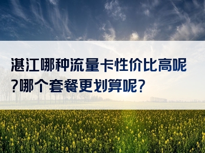 湛江哪种流量卡性价比高呢？哪个套餐更划算呢？