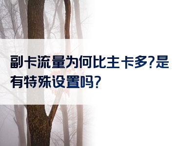 副卡流量为何比主卡多？是有特殊设置吗？