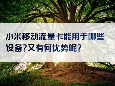 小米移动流量卡能用于哪些设备？又有何优势呢？