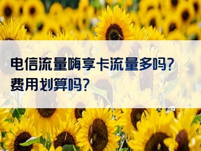 电信流量嗨享卡流量多吗？费用划算吗？