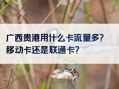 广西贵港用什么卡流量多？移动卡还是联通卡？