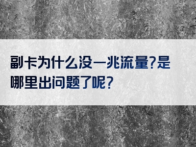 副卡为什么没一兆流量？是哪里出问题了呢？