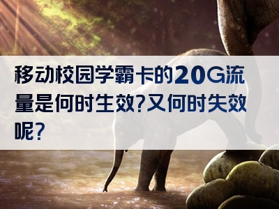 移动校园学霸卡的20G流量是何时生效？又何时失效呢？