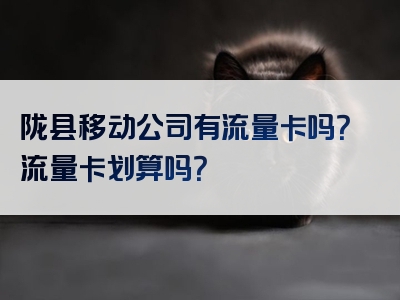 陇县移动公司有流量卡吗？流量卡划算吗？
