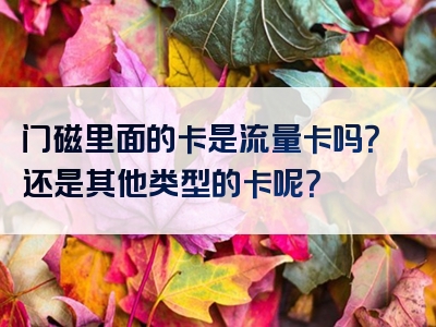 门磁里面的卡是流量卡吗？还是其他类型的卡呢？