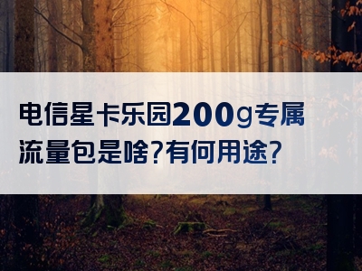 电信星卡乐园200g专属流量包是啥？有何用途？