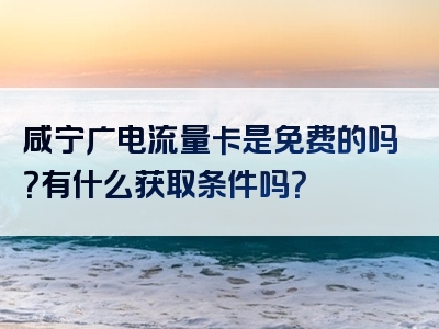 咸宁广电流量卡是免费的吗？有什么获取条件吗？