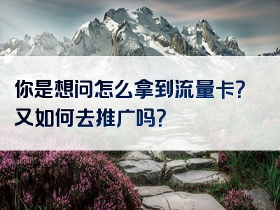 你是想问怎么拿到流量卡？又如何去推广吗？