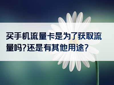 买手机流量卡是为了获取流量吗？还是有其他用途？
