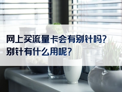 网上买流量卡会有别针吗？别针有什么用呢？