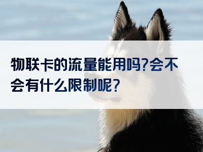 物联卡的流量能用吗？会不会有什么限制呢？