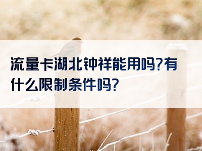 流量卡湖北钟祥能用吗？有什么限制条件吗？