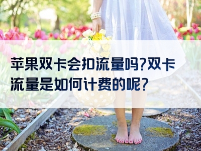 苹果双卡会扣流量吗？双卡流量是如何计费的呢？