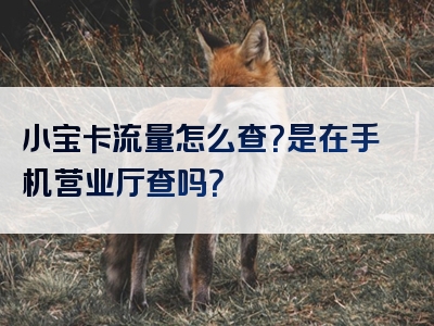小宝卡流量怎么查？是在手机营业厅查吗？