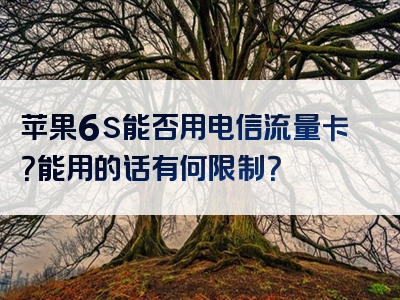 苹果6s能否用电信流量卡？能用的话有何限制？