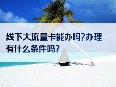 线下大流量卡能办吗？办理有什么条件吗？