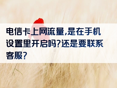 电信卡上网流量，是在手机设置里开启吗？还是要联系客服？