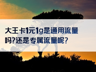 大王卡1元1g是通用流量吗？还是专属流量呢？