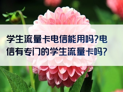 学生流量卡电信能用吗？电信有专门的学生流量卡吗？