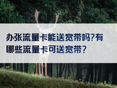办张流量卡能送宽带吗？有哪些流量卡可送宽带？