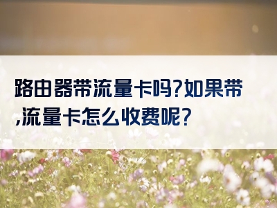 路由器带流量卡吗？如果带，流量卡怎么收费呢？