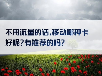 不用流量的话，移动哪种卡好呢？有推荐的吗？