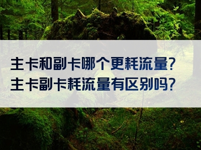 主卡和副卡哪个更耗流量？主卡副卡耗流量有区别吗？
