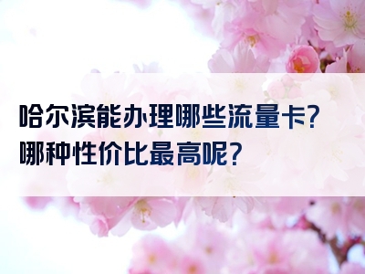 哈尔滨能办理哪些流量卡？哪种性价比最高呢？