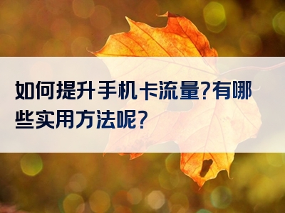 如何提升手机卡流量？有哪些实用方法呢？