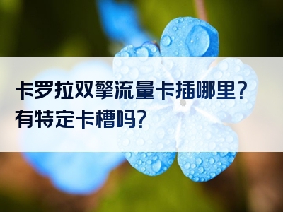卡罗拉双擎流量卡插哪里？有特定卡槽吗？