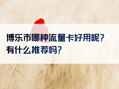 博乐市哪种流量卡好用呢？有什么推荐吗？
