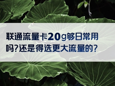 联通流量卡20g够日常用吗？还是得选更大流量的？