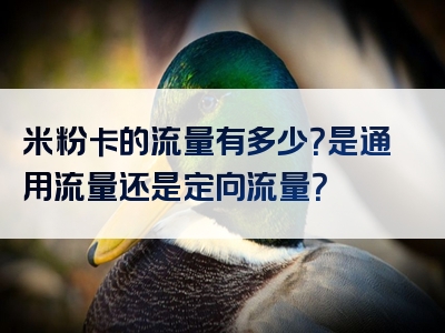 米粉卡的流量有多少？是通用流量还是定向流量？