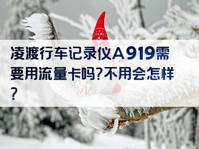 凌渡行车记录仪A919需要用流量卡吗？不用会怎样？