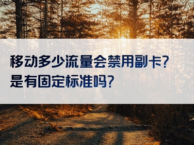 移动多少流量会禁用副卡？是有固定标准吗？