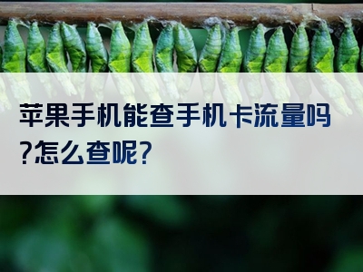 苹果手机能查手机卡流量吗？怎么查呢？