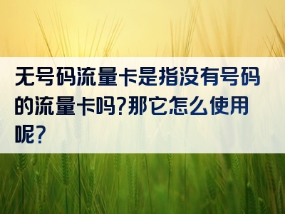 无号码流量卡是指没有号码的流量卡吗？那它怎么使用呢？