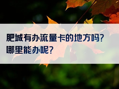肥城有办流量卡的地方吗？哪里能办呢？