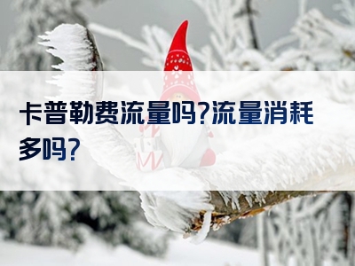 卡普勒费流量吗？流量消耗多吗？