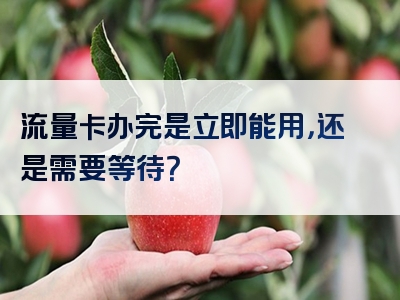 流量卡办完是立即能用，还是需要等待？