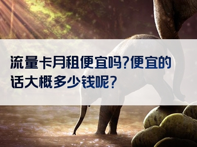 流量卡月租便宜吗？便宜的话大概多少钱呢？
